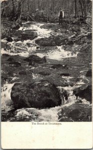 The Brook at Troutmere, Ashland County WI Vintage Postcard E52