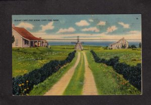 MA Cape Cod Houses Cottages Wind Mill Mas Massachusetts Postcard
