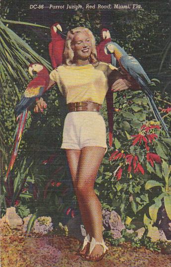 Florida Miami Beautiful Girl Holding Macaws At Parrot Jungle