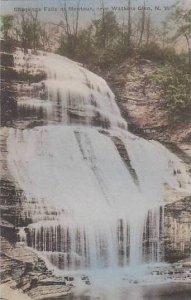 New York Watkins Glen Chequaga Falls At Montour Albertype