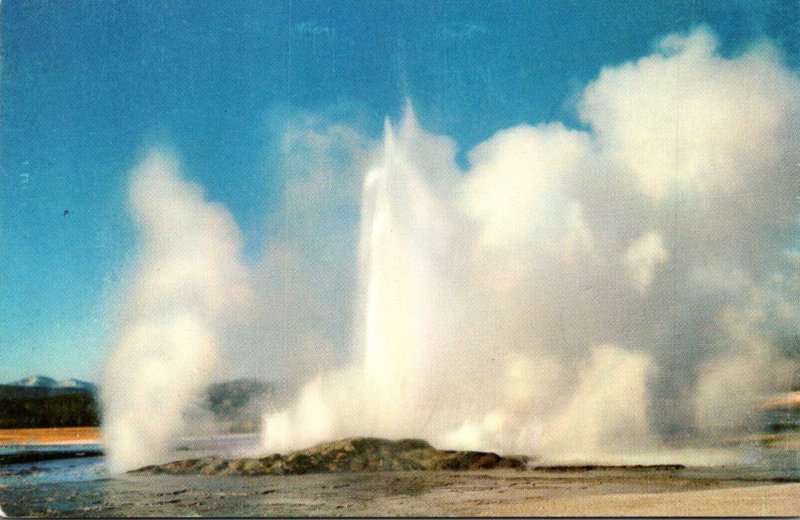 Yellowstone National Park Clepsydra Geyser Of The Fountain Group