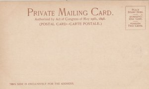 Louisiana New Orleans St Charles Avenue Private Mailing Card sk3748