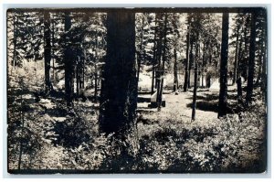 1911 Forest Camping Camp Tent Scene Lake Tahoe California CA RPPC Photo Postcard