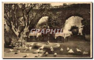 Old Postcard La Cote D'Azur Saint Paul Alpes Maritimes A corner of the Colomb...