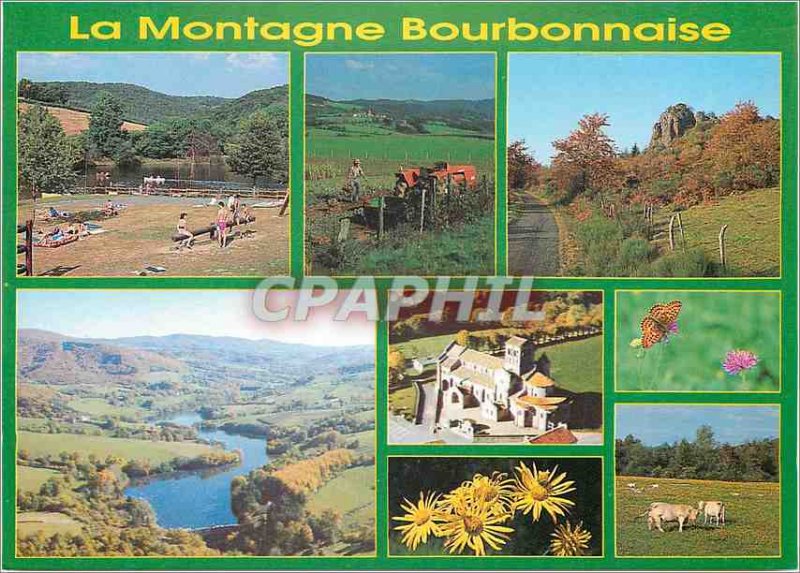 Modern Postcard The Bourbon mountains of Auvergne Image Cows