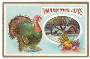 Thanksgiving Joys Turkey Cottage Scene Vntg Embossed 1911 Solomon Bros Postcard