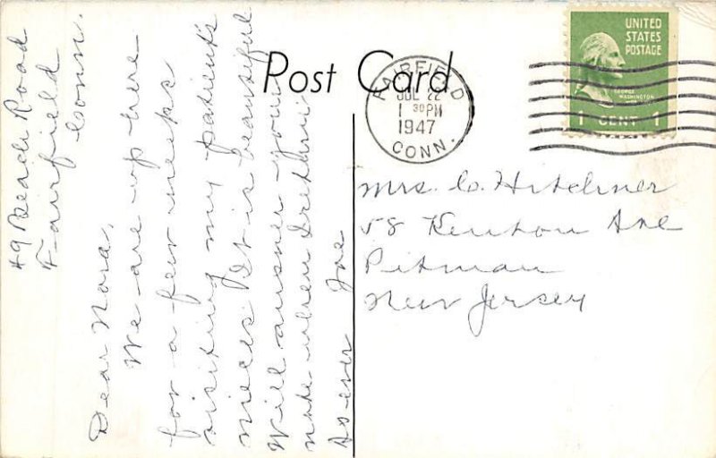 Foxglove Border Sunnie Holme  - Misc, Connecticut CT