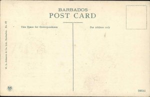 Bridgetown Barbados Queen's Park Fountain Vintage Postcard