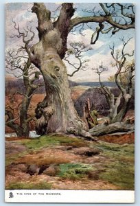 1910 King of the Meadows County Charms Oilette Tuck 1407 Vintage Postcard