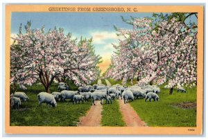 1955 Greetings From Greensboro North Carolina NC, Blossom Tree Sheep Postcard