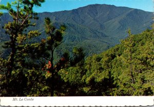 Tennessee Great Smoky Mountains National Park Mount LeConte