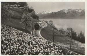 Switzerland Postcard - Chemin De Fer Des Pleiades s/Vevey - Ref TZ8816