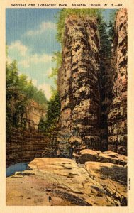 New York Ausable Chasm Sentinel and Cathedral Rock Curteich