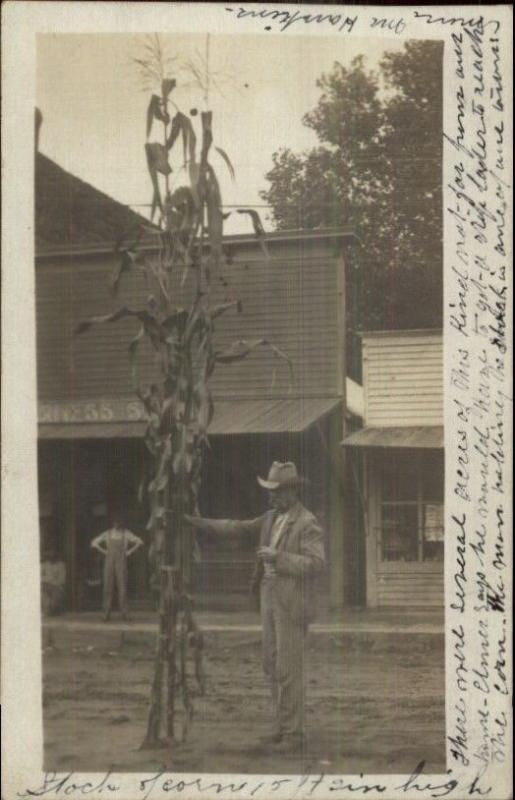 Bennington KS Cancel Farmer Massive Cornstalk in Street Social History RPPC