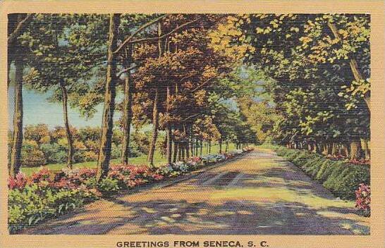 South Carolina Seneca Greetings From Seneca