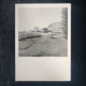 Lisa Lyon (Reclining) Nude Joshua Tree Ca. Robert Mapplethorpe Blank card 1980