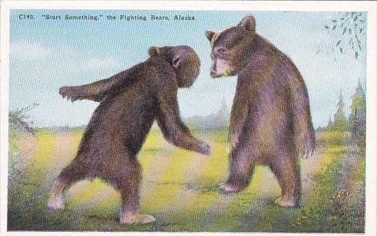 Start Something The Fighting Bears Alaska