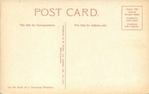 Santa Barbara California c1910 Postcard Potter Hotel Squab Ranch Birds