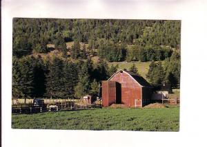 Barn and Horses, Okanagan Valley, Falkland, British Columbia, 