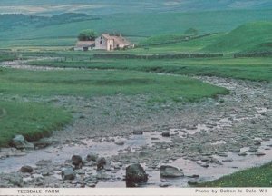 Teesdale Farm Farming Durham Womens Institute Postcard