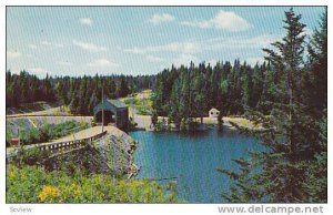Fundy National Park , MONCTON , New Brunswick , Canada , 40-60s
