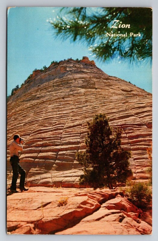 Checkerboard Mesa Zion National Park Utah Vintage Unposted Postcard