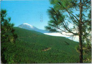 postcard Spain Canary Islands Tenerife The Teide Mountain