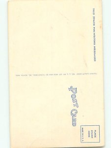 Divided-Back HORSE SCENE Great Postcard AA9439