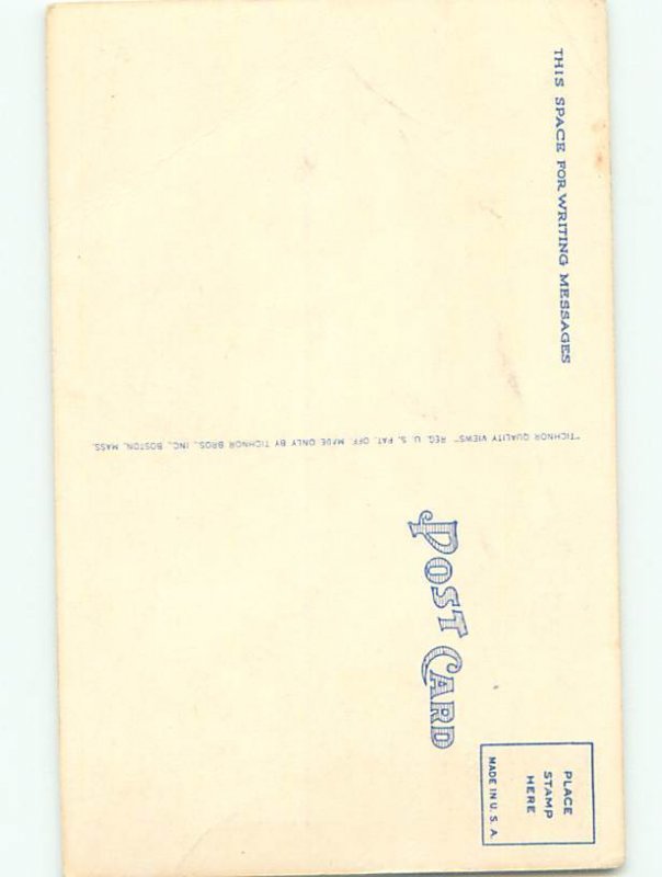 Divided-Back HORSE SCENE Great Postcard AA9439