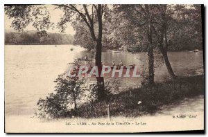 Old Postcard Lyon at Parc de la Tete d'Or Lake