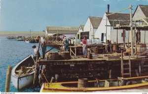 RUSTICO , Prince Edward Island , Canada , 1950-60s; Woman boarding row boat