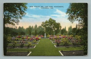 Rose Garden Wm Land Park Sacramento California Postcard