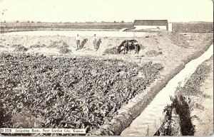 Irrigating Beets Near Garden City Kansas Vintage Postcard Standard View Card 