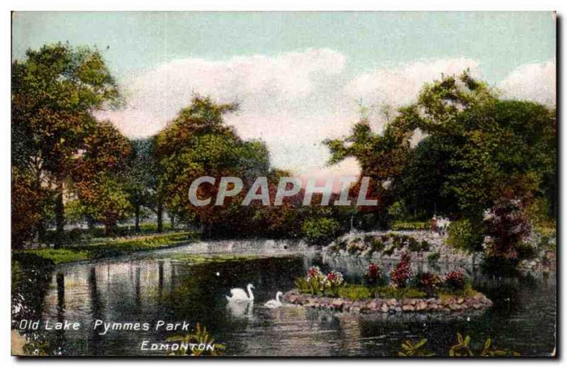 Canada - Old Lake Pymmes Edmonton Park - Swimming Swan - Old Postcard