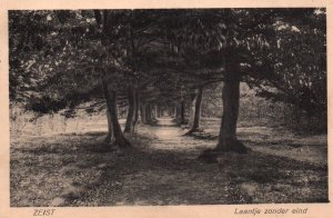 Laantje zonder eind,Zeist Netherlands BIN