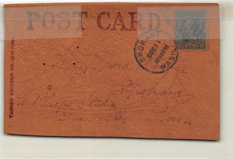 G17/ Coeur d'Alene Idaho Postcard Leather c1910 Cat Scratches 