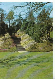 Devon Postcard - Heath Bank & Steps To Glade - Dartington Hall - Totnes - 20934A