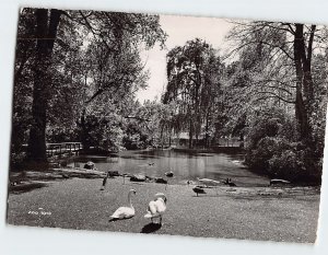 Postcard Blick auf den mittleren Weiher, Zoologischer Garten Basel, Switzerland