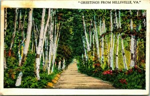 Generic Country Road Scenic Greetings From Hillsville VA WB Postcard T18