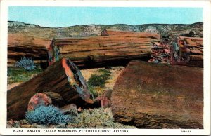 Ancient Fallen Monarchs Petrified Forest Arizona AZ WB Postcard VTG UNP Vintage 