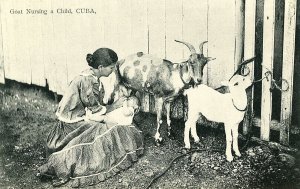 Postcard  Early View of a Mother Goat Nursing a Child in Cuba.     S6