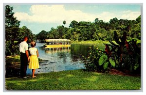 Vintage 1967 Postcard Glass Bottom Boat Silver River at Silver Springs Florida