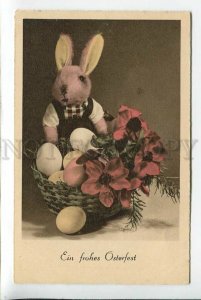 3184918 EASTER Toy RABBIT Hare EGG Vintage Color postcard