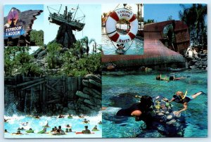 DISNEY WORLD, Orlando FL ~ Water Park TYPHOON LAGOON  4x6 Postcard