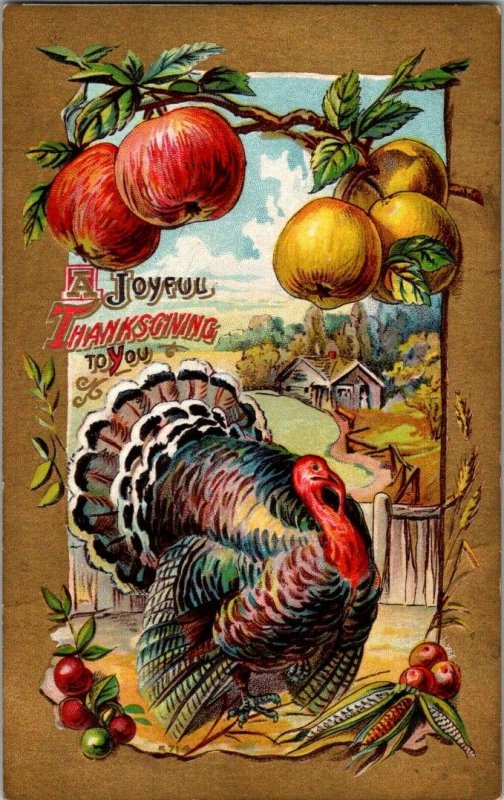 1910 Thanksgiving  Embossed Post Card Turkey Apples Very Colorful P2