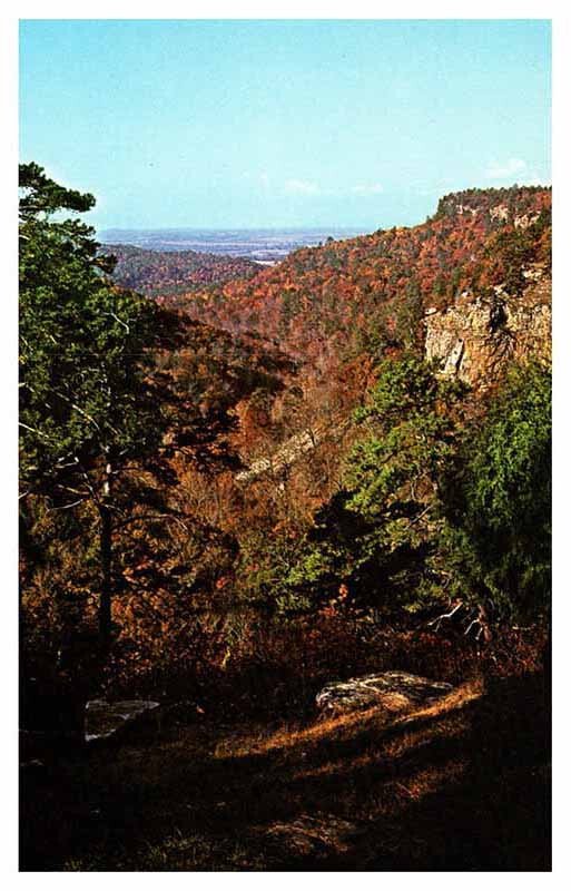 Postcard AERIAL VIEW SCENE Cedar Creek Canyon Arkansas AR AT8476
