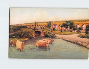 Postcard Acquedotti Via Appia Rome Italy