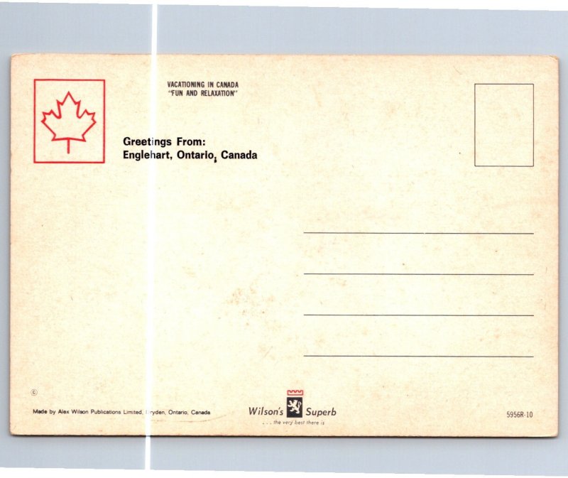 Greetings From Englehart Ontario Canada, Drunk Hunter, Comic Postcard