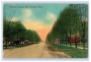 1900-10 Fancher Avenue Mt Pleasant Mich. Vintage Postcard F28E