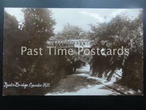 Somerset CLEVDON Coombe Hill Rustic Bridge c1911 RP by Harvey Barton